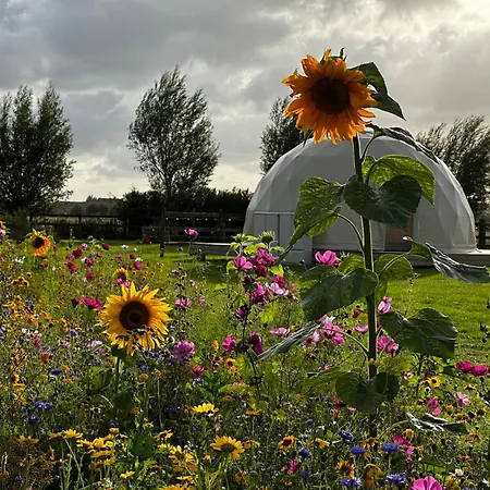 Lyxtält Id Glamping De Coude Scheure *